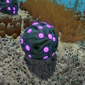 Gel Sack Subnautica Wiki Fandom