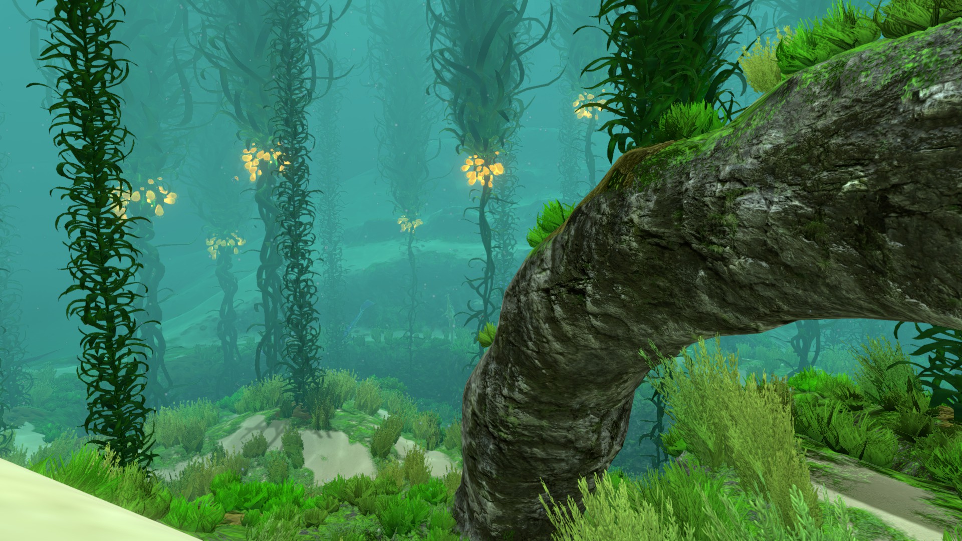 Image Kelp Forest (19).jpg Subnautica Wiki FANDOM powered by Wikia