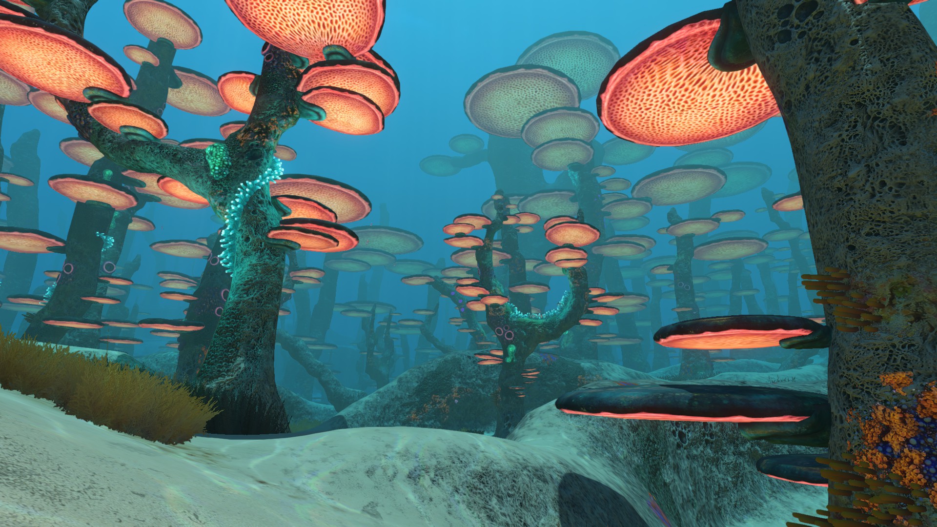 Mushroom Forest | Subnautica Wikia | Fandom