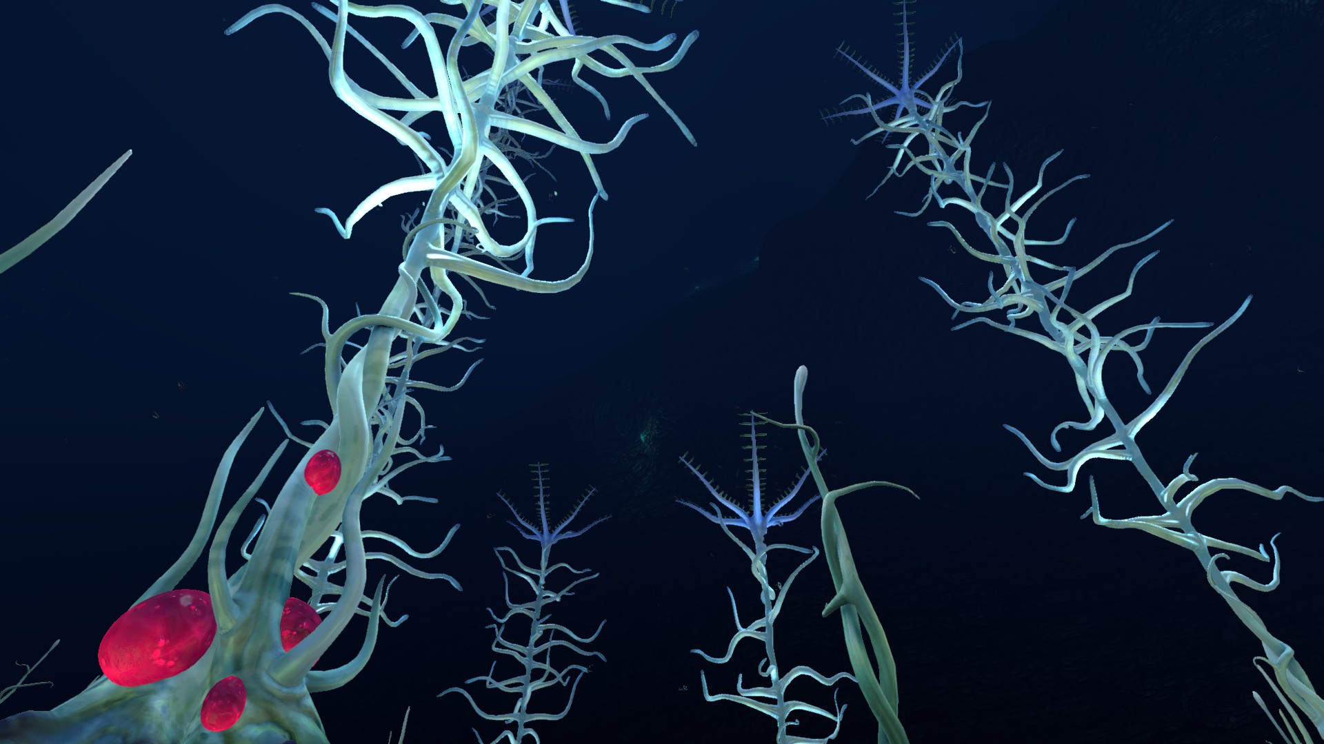 Image Blood Kelp (8).jpg Subnautica Wiki FANDOM powered by Wikia