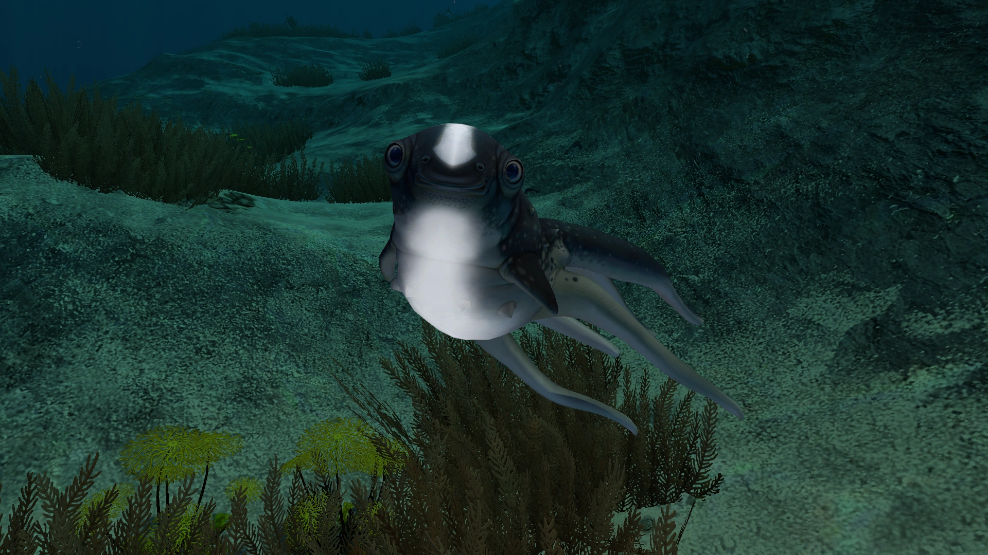 Image Cute Fish STP.png Subnautica Wiki FANDOM powered by Wikia