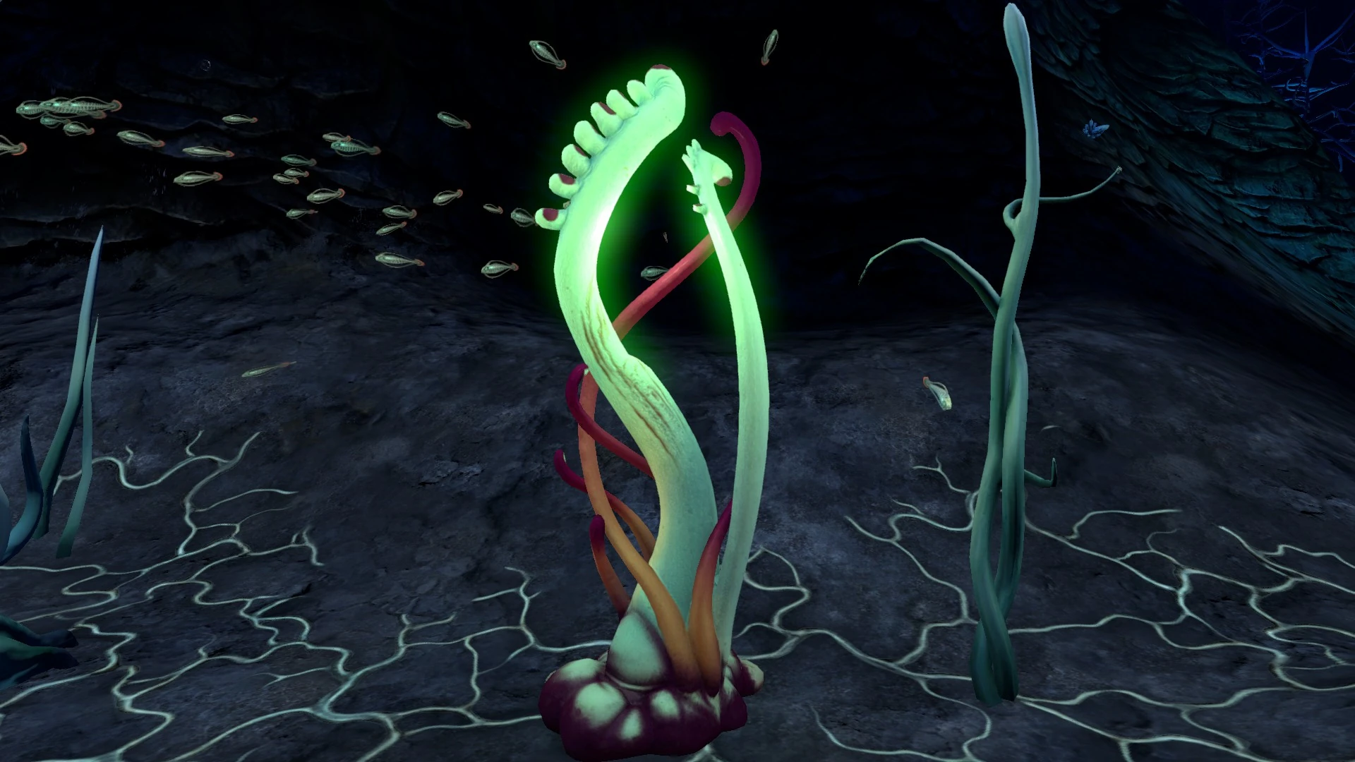 Image Blood Kelp Zone Trench (3).jpg Subnautica Wiki FANDOM