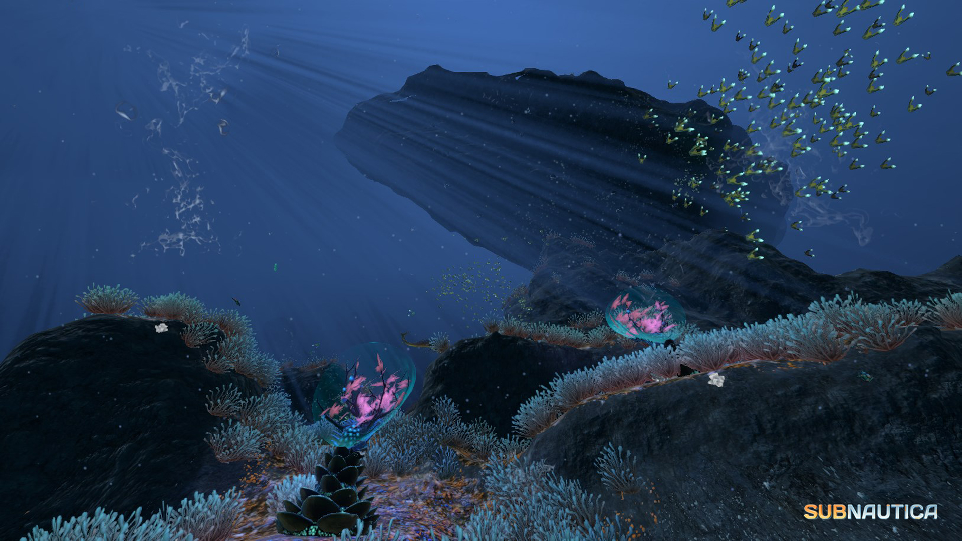 Где взять образец пластинчатого коралла в subnautica
