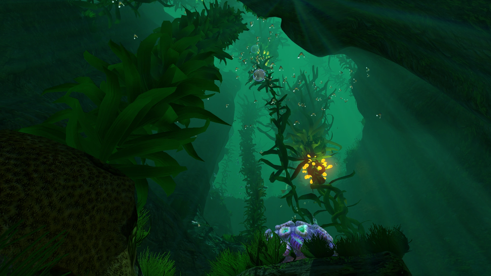 Image Kelp Forest Deep.png Subnautica Wiki FANDOM powered by Wikia