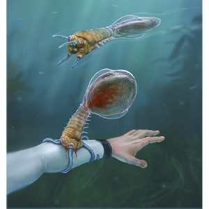 Concept Art Subnautica Wiki Fandom