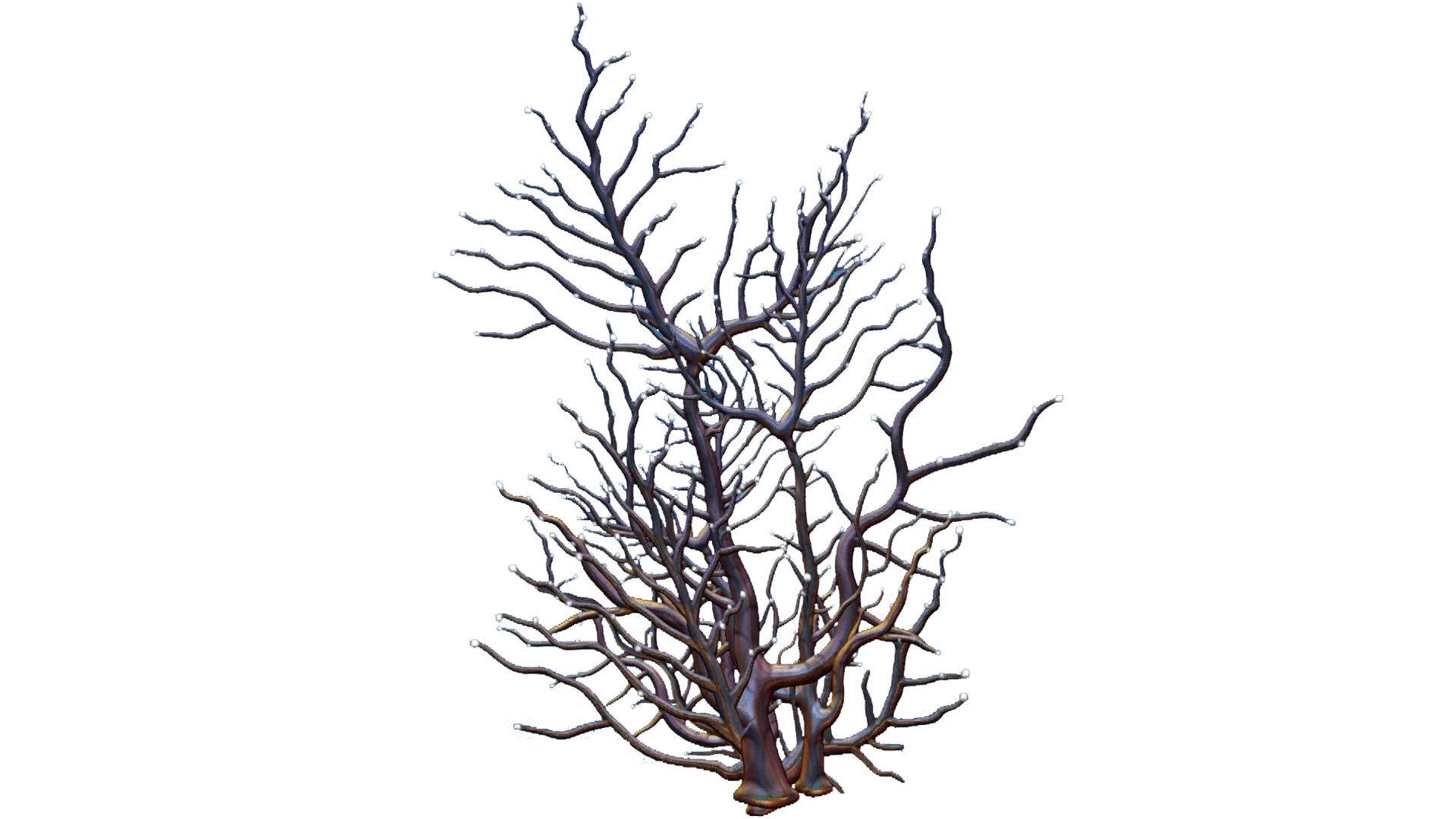 Кустарник без листьев. Сухие растения. Сухой кустик. Перекати аодк. Сухой куст.