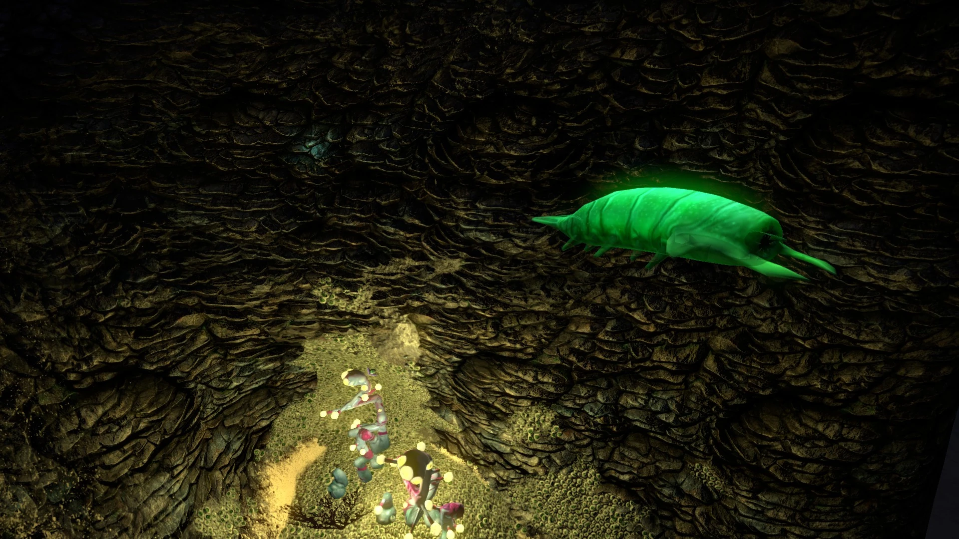 Image Sparse Reef (35).jpg Subnautica Wiki FANDOM powered by Wikia