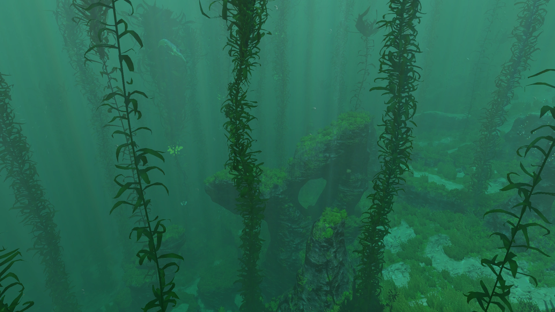 Image Kelp Forest Overview Day.png Subnautica Wiki FANDOM powered