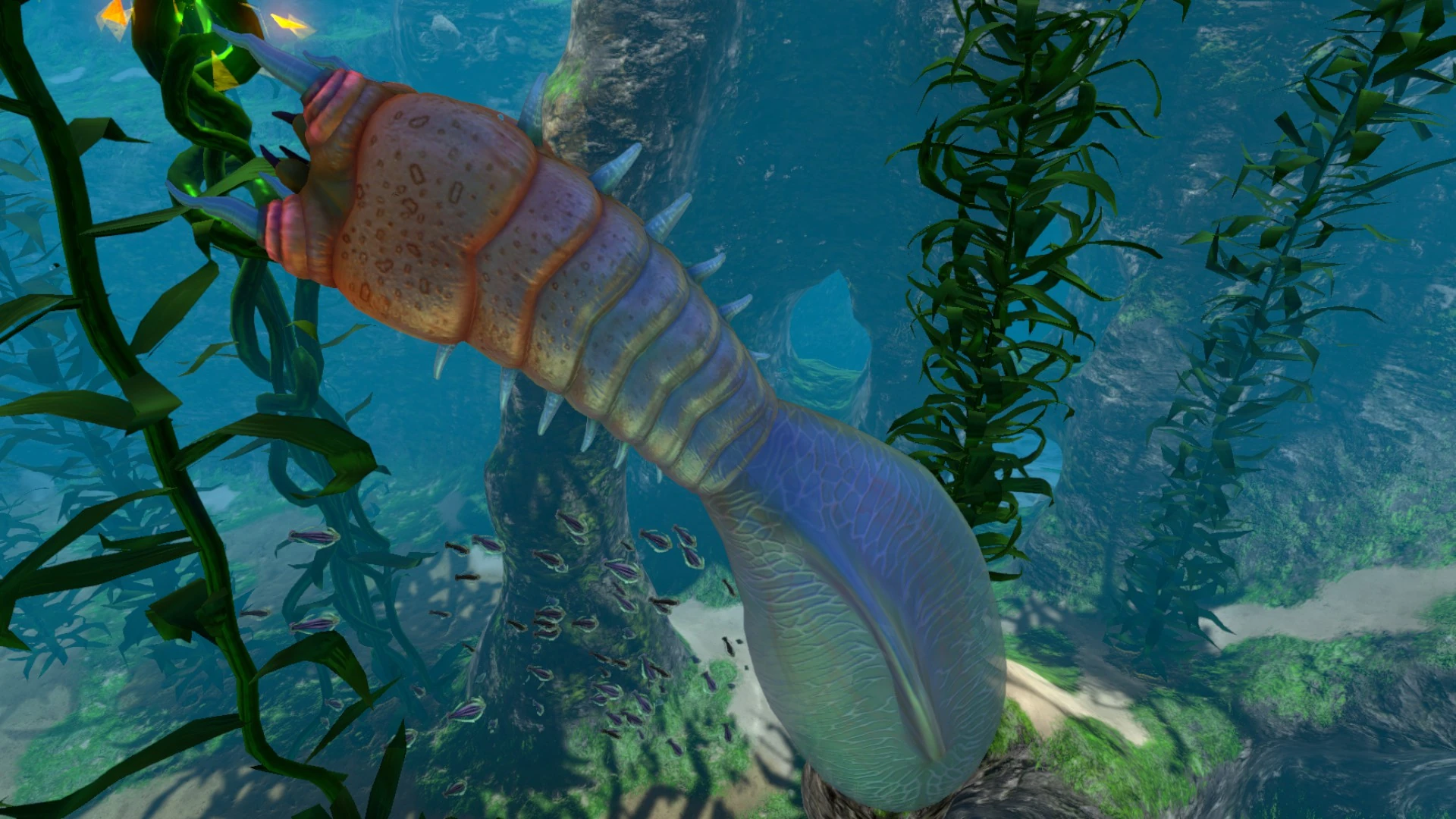 Image Kelp Forest (13).jpg Subnautica Wiki FANDOM powered by Wikia