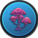 Pink Mushroom