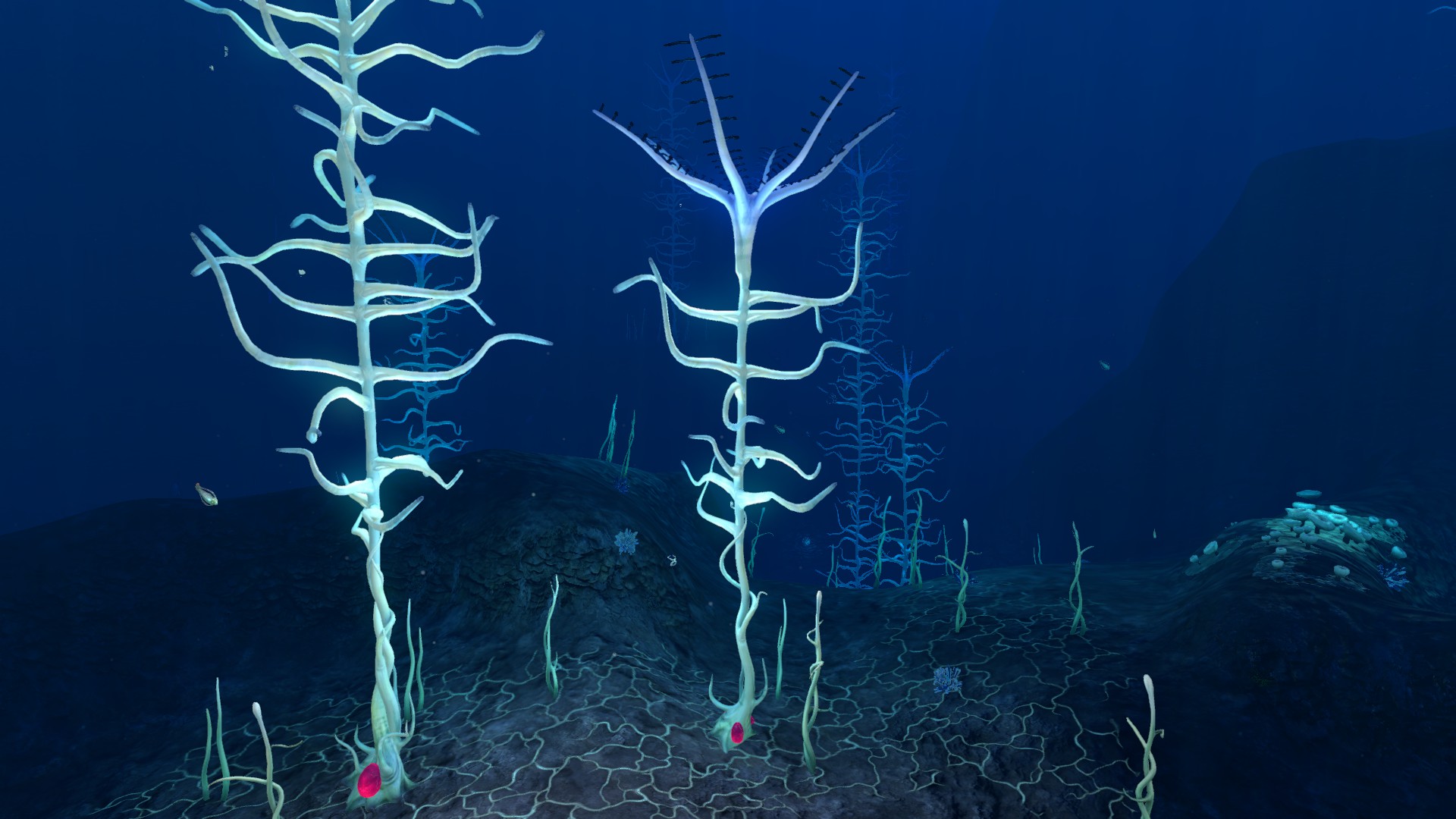 Масляный сок subnautica. Карантинная охранная платформа сабнатика. Зона кровавых водорослей в subnautica. Ледниковый бассейн subnautica below zero. Биом кровавых водорослей субнаутика.