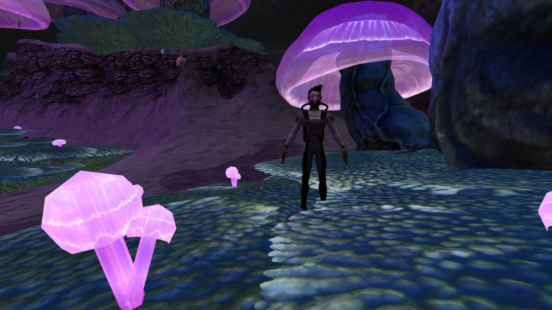 Image Jelly Shroom Caves (4).jpg Subnautica Wiki FANDOM powered