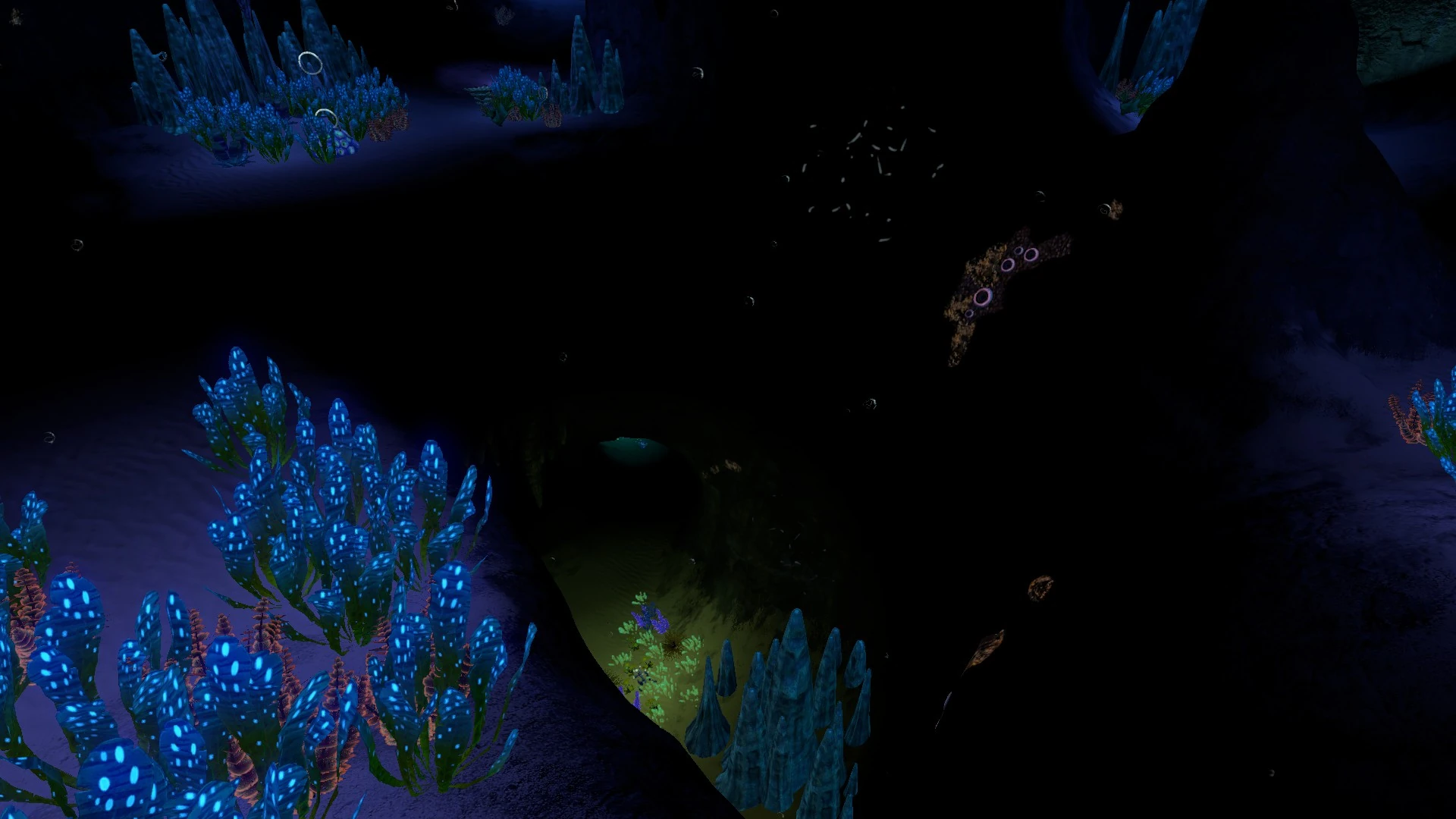 Где найти образец водоросли в subnautica - 94 фото
