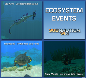 EcoSystemPoster
