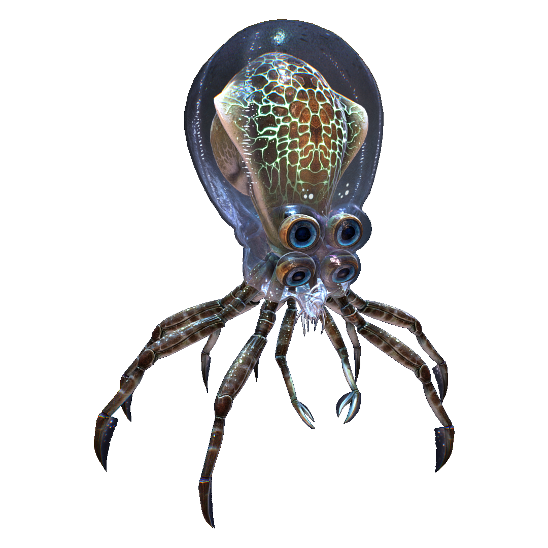 Subnautica краб. Кальмар краб Subnautica. Кальмара-краба субнаутика. Кальмарокраб в Subnautica. Crabsquid Subnautica.