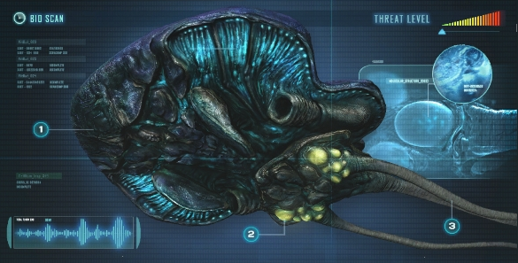 Riffruecken PDA