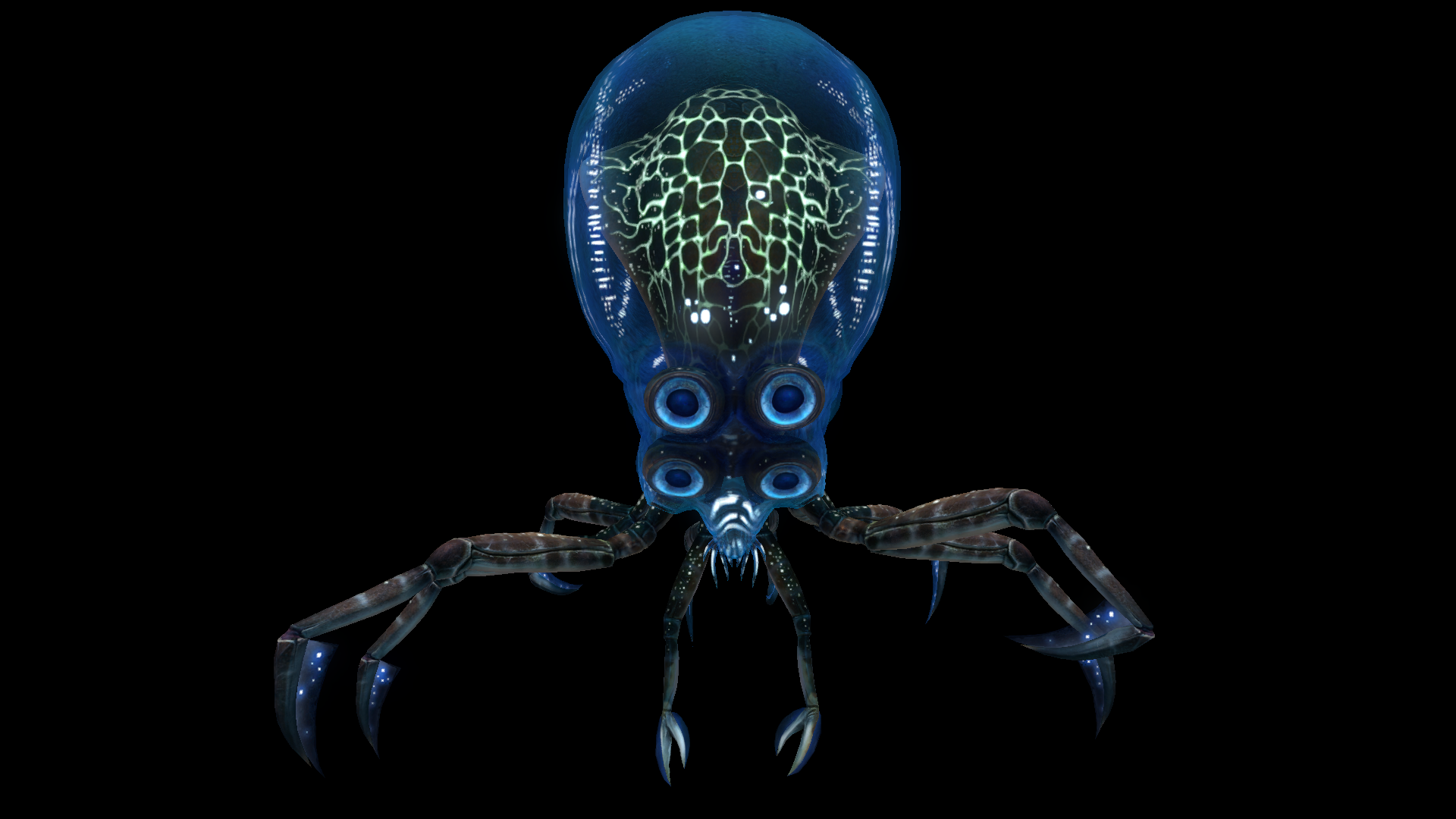 Image Crabsquid Front View.png Subnautica Wiki FANDOM powered by Wikia