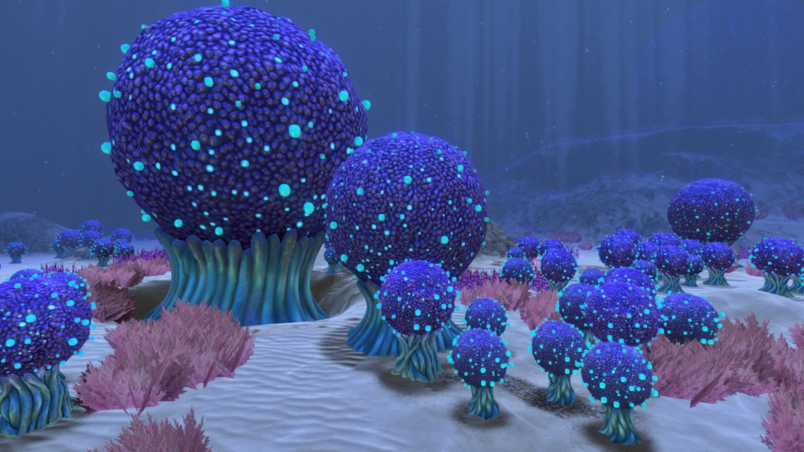 Образец клубнекуста в subnautica где найти