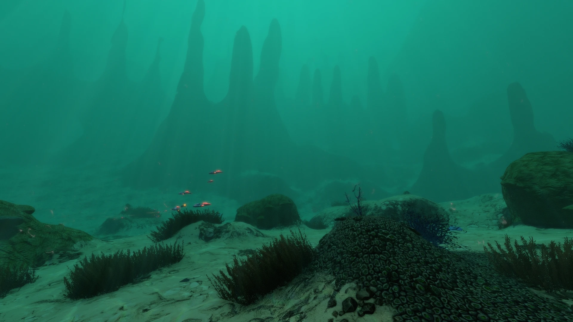 Sparse Reef Subnautica Wikia Fandom