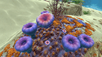 Acid Mushroom (5)