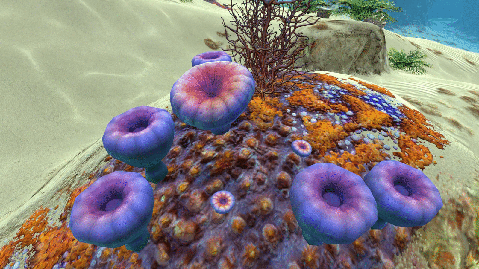 Образец коралловой трубы субнатика - 93 фото