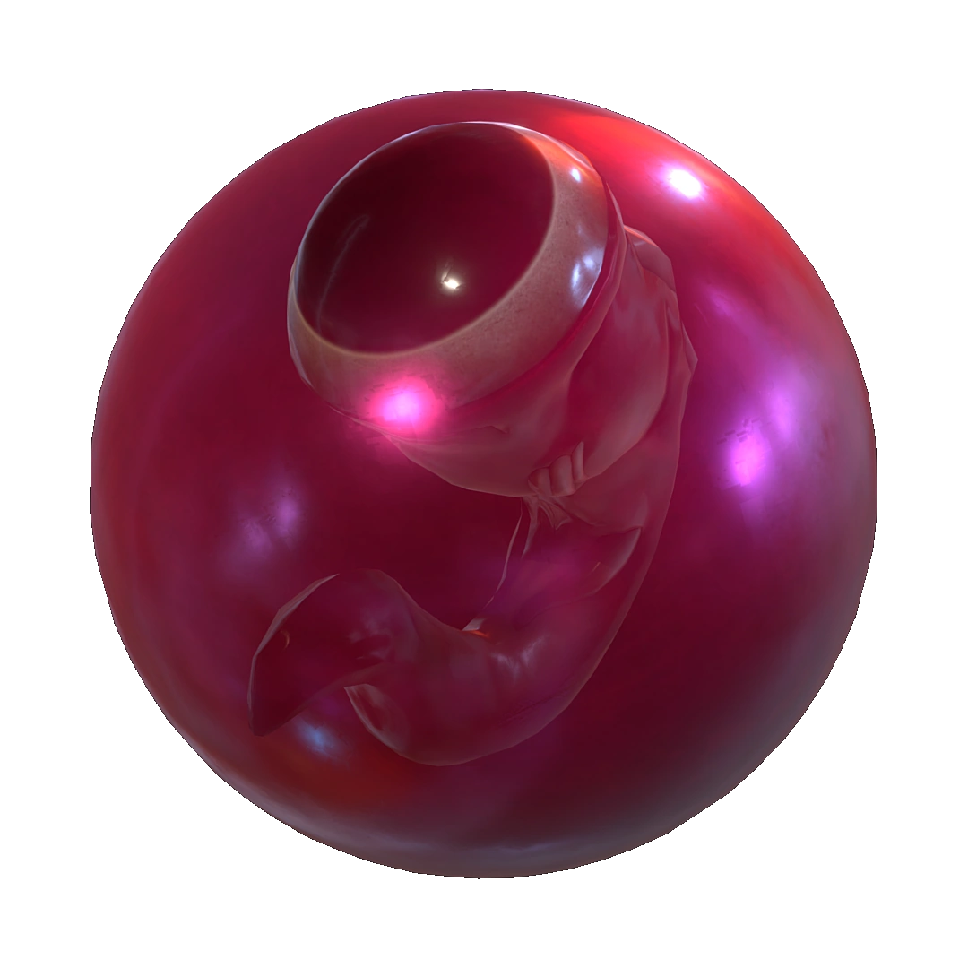 Œufs Wikia Subnautica Fandom