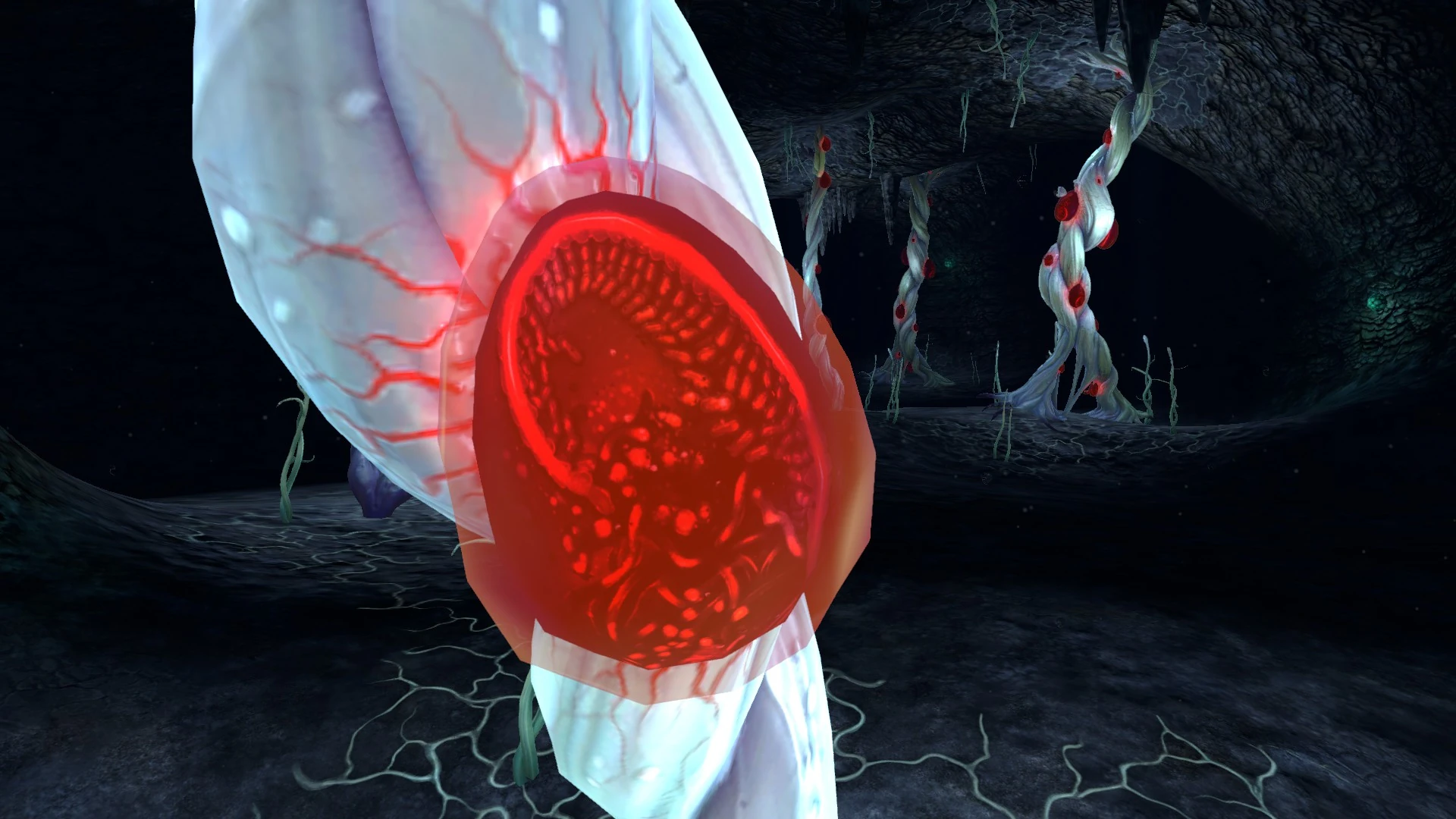 Image Blood Kelp Caves (4).jpg Subnautica Wiki FANDOM powered by