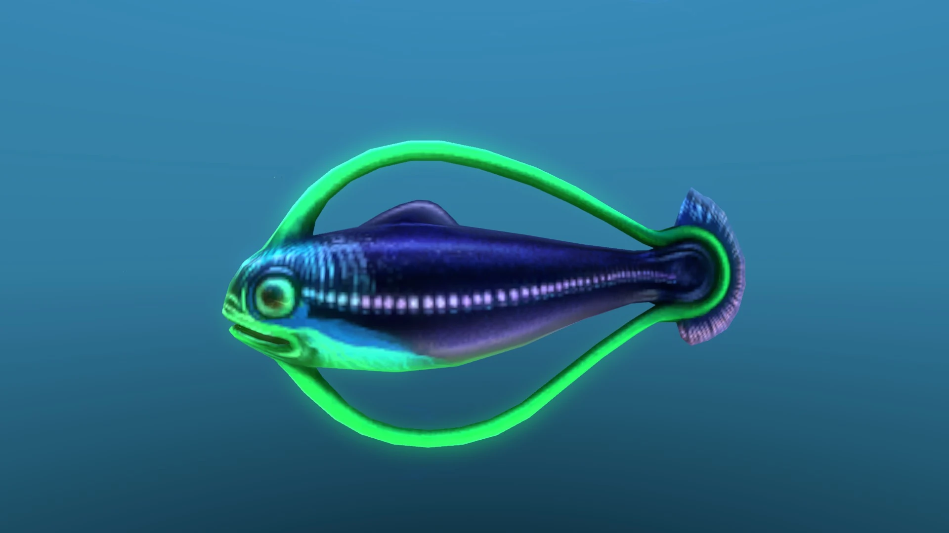 Image Hoopfish 10.jpg Subnautica Wiki FANDOM powered by Wikia