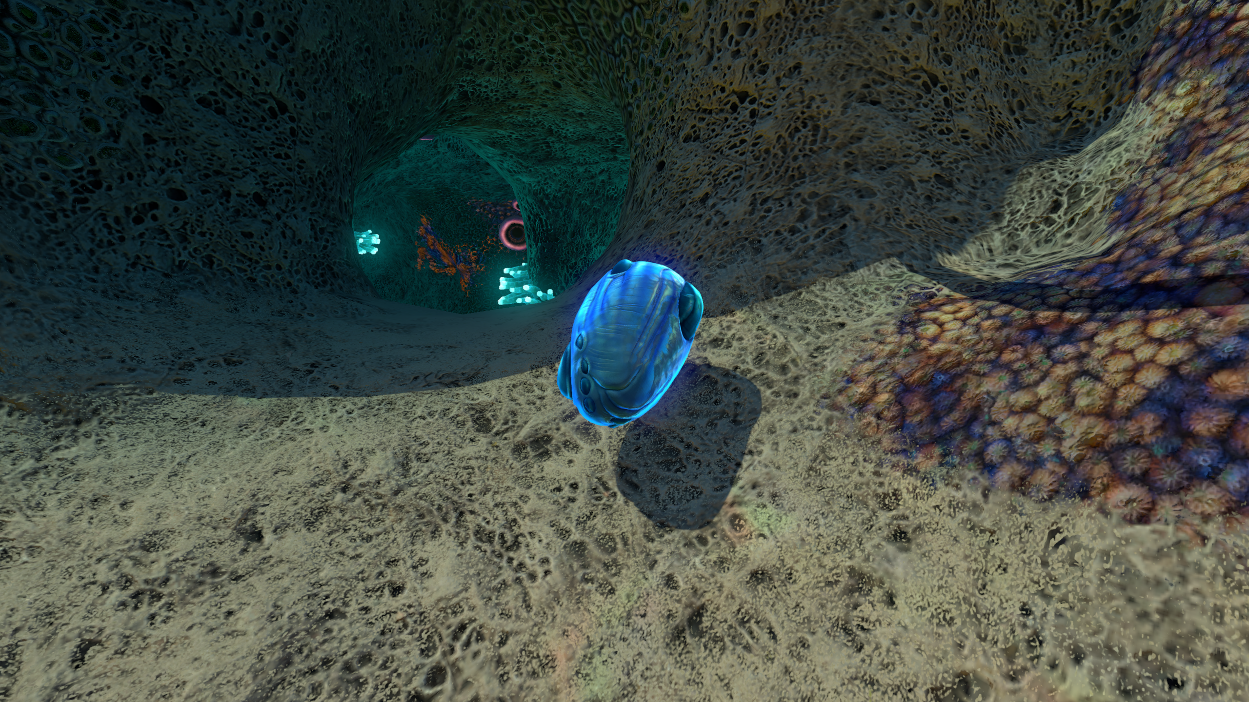 jelly ray subnautica eggs jelly ray subnautica eggs