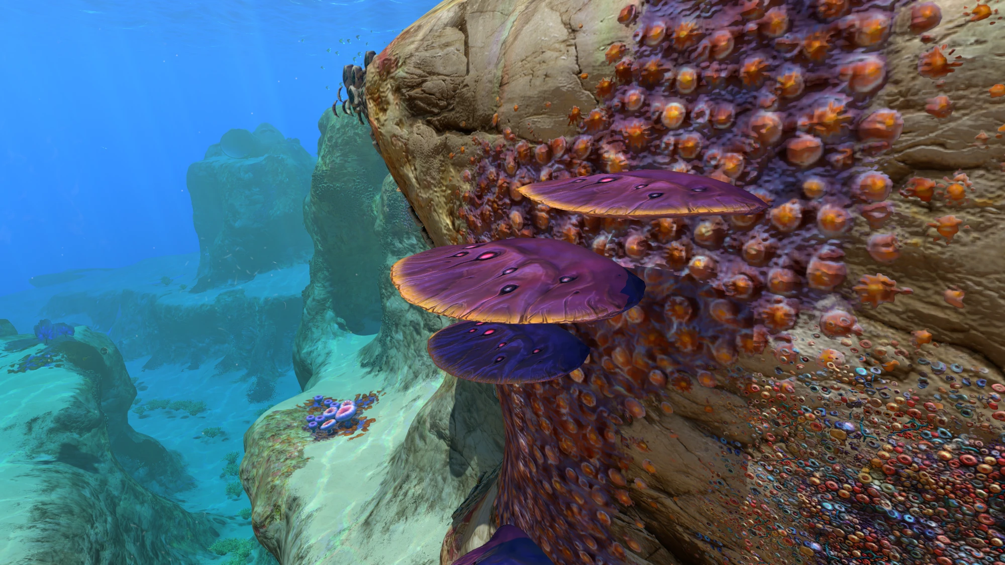 CategoryCoral Subnautica Wiki FANDOM powered by Wikia