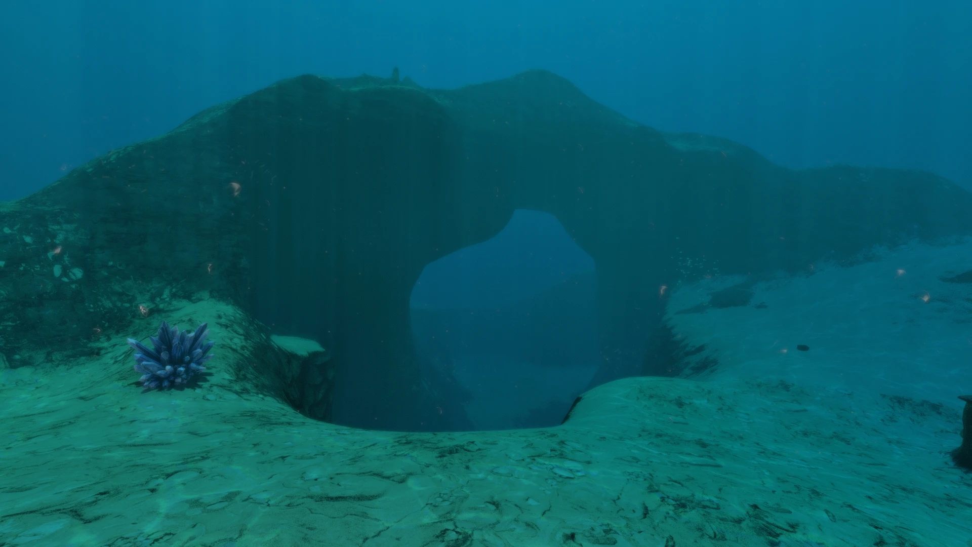 Bild Sparse Reef 08.jpg Subnautica Wikia FANDOM powered by Wikia