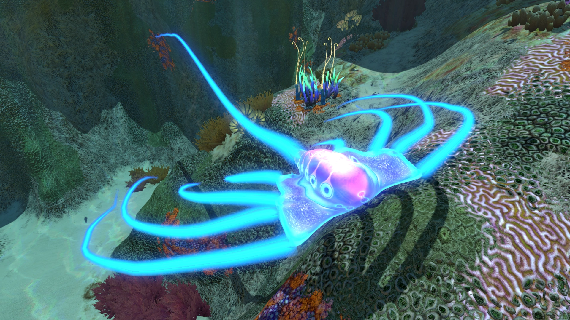 Image Jellyray NWMF.png Subnautica Wiki FANDOM powered by Wikia