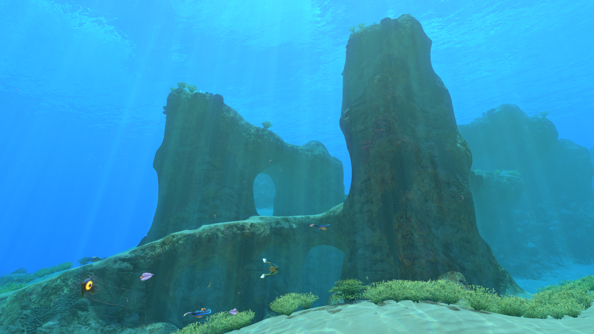 Safe Shallows | Subnautica Wiki | FANDOM powered by Wikia