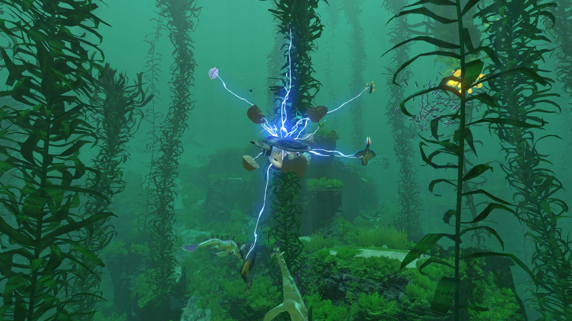 Image Gravsphere In Kelp Forest.jpg Subnautica Wiki FANDOM