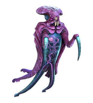 Warper Fauna