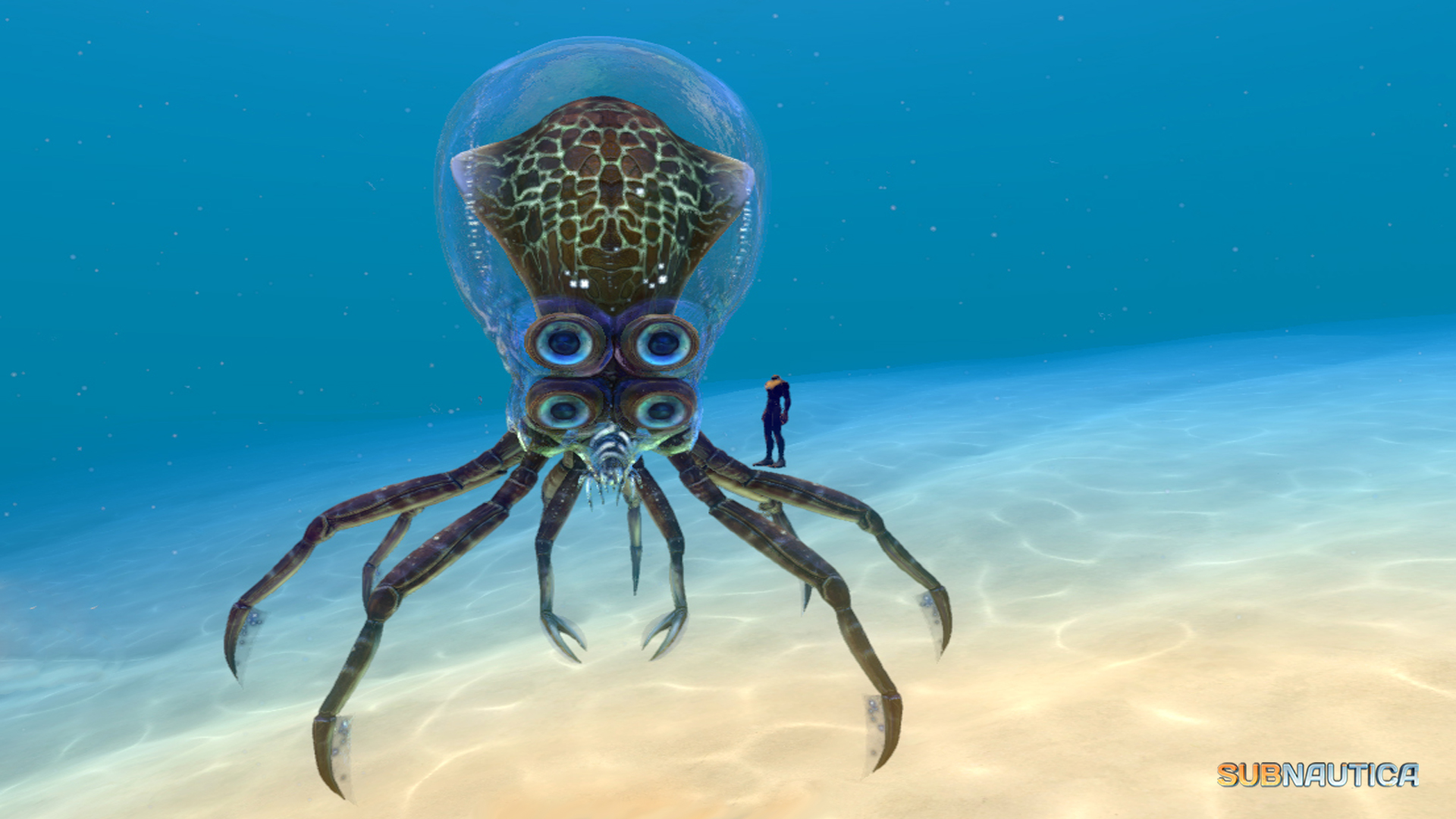 Image - Crabsquid (1).jpg | Subnautica Wiki | FANDOM powered by Wikia