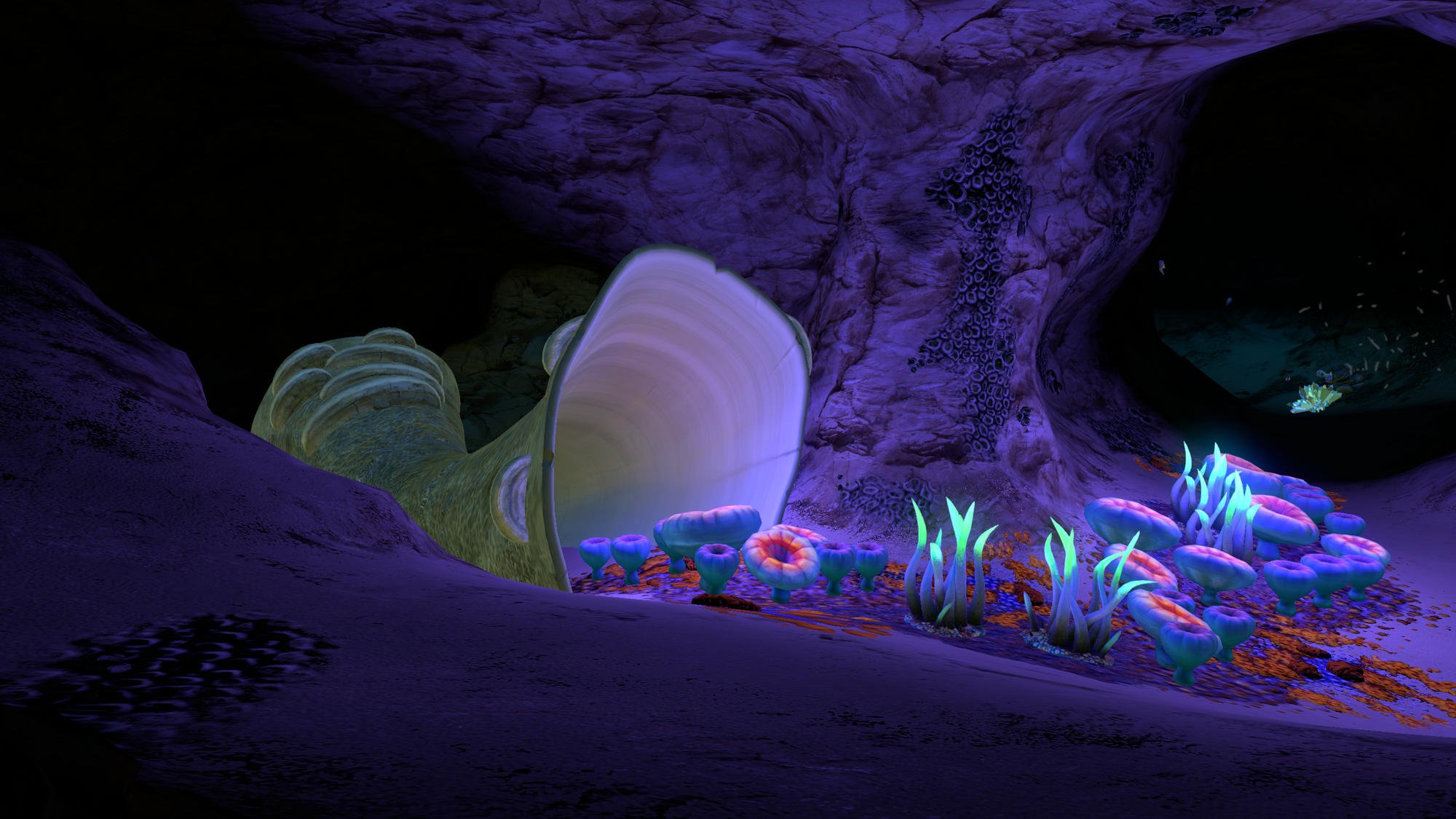 Safe Shallows Caves | Subnautica Wiki | FANDOM powered by Wikia