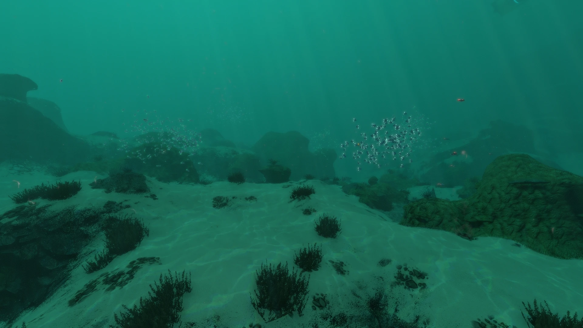 Bild Sparse Reef 02.jpg Subnautica Wikia FANDOM powered by Wikia