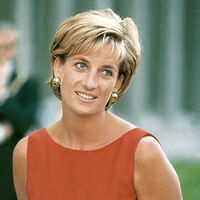 Diana De Gales Wiki Sucepedia Fandom
