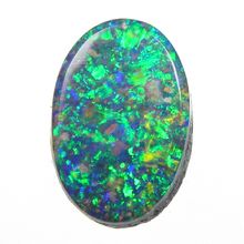 OPAL-MAIN