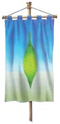 Mordo-flag