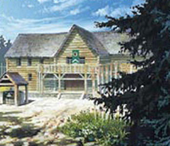 Viksfort