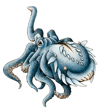 Abizboah01