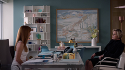 Donna & Faye (9x2)