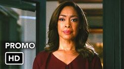 Suits Wiki Fandom