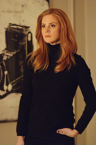Donna Paulsen | Suits Wiki | FANDOM powered by Wikia