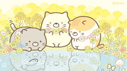 Get Wallpaper Sumikko Gurashi Wiki Fandom Free