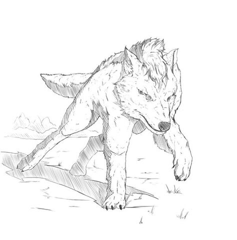 File:DN, Canid.jpg