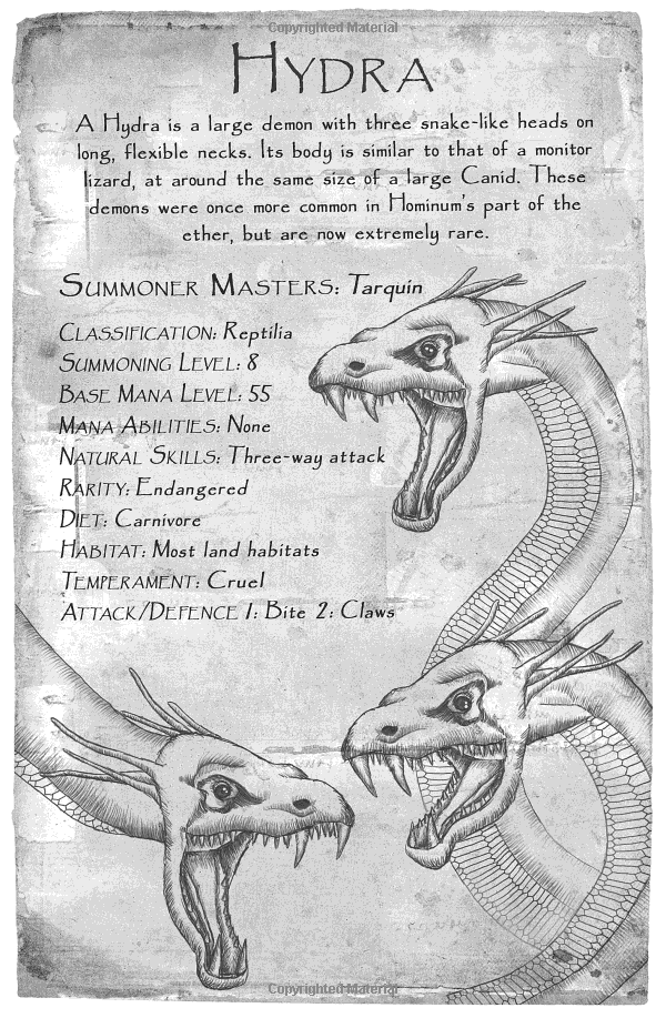 the novice summoner trilogy the novice summoner trilogy