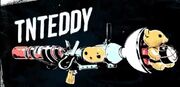 Tnteddy intro